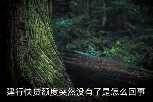 我的建行快貸額度怎么沒有了，建行快貸為什么沒有額度在建行有房貸還款已半年以上有信用