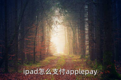 ipad怎么支付applepay