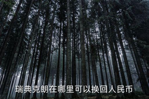 瑞典克朗在哪里可以換回人民幣