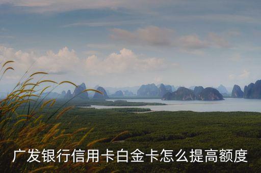 廣發(fā)銀行信用卡白金卡怎么提高額度