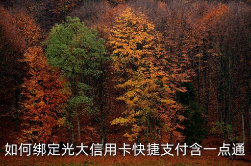 光大怎么開(kāi)通快捷支付，光大信用卡如何開(kāi)通快捷支付