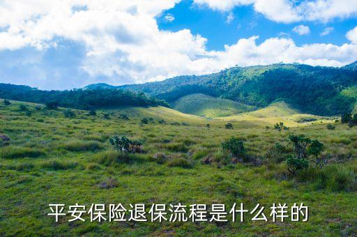 平安保險怎么網(wǎng)上退保，平安保險退保的正確辦法是什么
