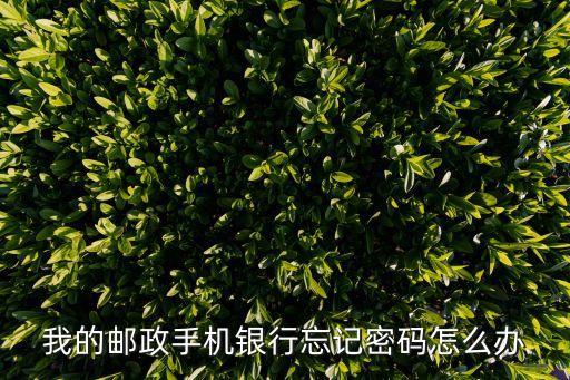 中國郵政手機(jī)銀行密碼忘了怎么辦，郵政手機(jī)銀行怎樣找回登陸密碼