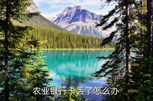 農(nóng)業(yè)銀行卡丟了怎么辦