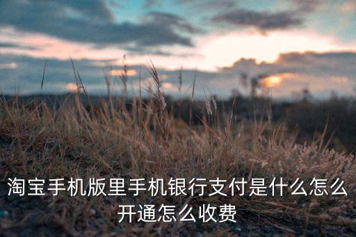 淘寶手機(jī)銀行支付怎么開通，淘寶手機(jī)版里手機(jī)銀行支付是什么怎么開通怎么收費(fèi)