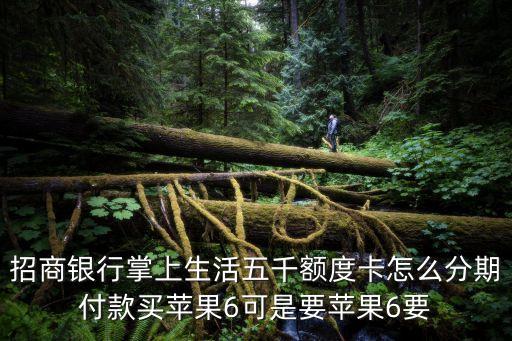 1張5000額度的信用卡怎么買蘋果6，貝多分給了5000信用額度可以分期買iPhone6嗎