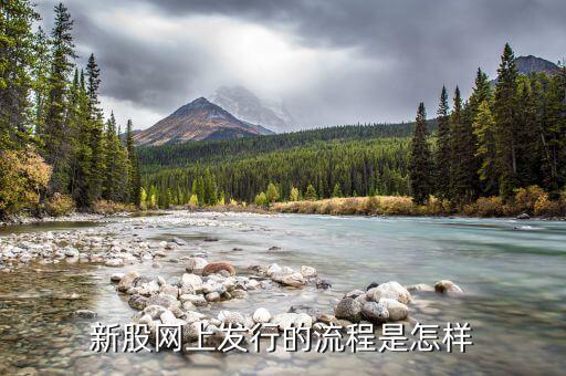 新股網(wǎng)上申購怎么操作，新股網(wǎng)上發(fā)行的流程是怎樣
