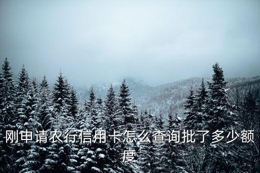 剛申請農(nóng)行信用卡怎么查詢批了多少額度