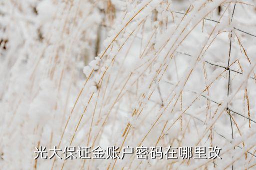 怎么更改保證金密碼，忘記了保證金密碼該怎么辦