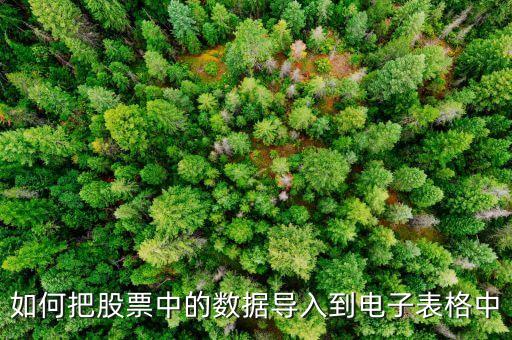 如何把股票中的數(shù)據(jù)導(dǎo)入到電子表格中