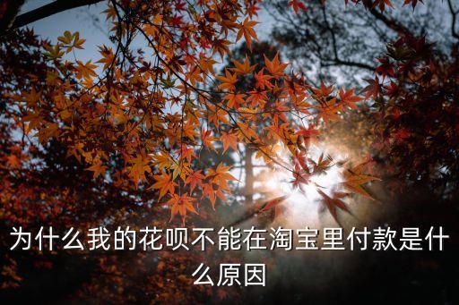 花唄怎么淘寶付款不了怎么回事啊，我開通了花唄到淘寶卻支付不了為什么