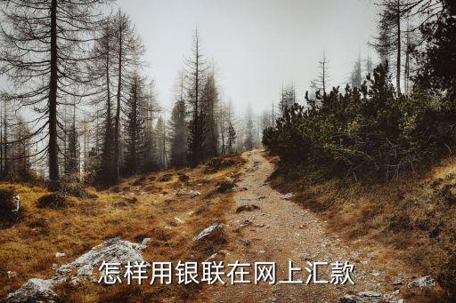 怎樣用銀聯(lián)在網(wǎng)上匯款