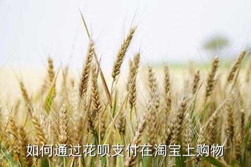 天貓花唄怎么付款，在淘寶買東西支付寶花唄怎么付款