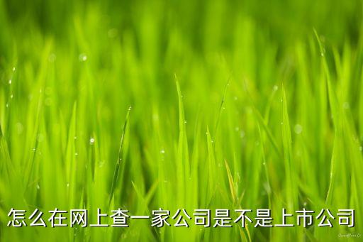 怎么查是否上市公司，企查貓?jiān)趺床樵兤髽I(yè)是否上市公司