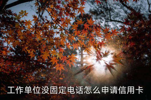 公司座機電話怎么申請信用卡，知不道單位電話怎么申請信用卡
