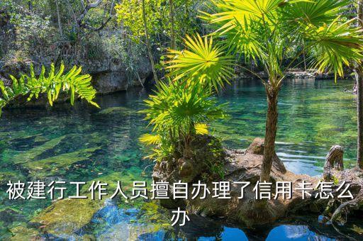 自己被人辦了信用卡怎么辦，被建行工作人員擅自辦理了信用卡怎么辦