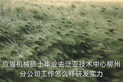 泛亞投資上班怎么樣，應屆機械碩士畢業(yè)去泛亞技術中心柳州分公司工作怎么樣研發(fā)實力