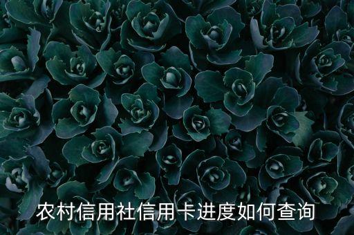 農(nóng)村信用社信用卡進度如何查詢