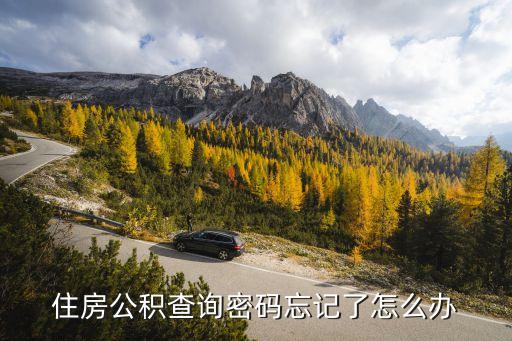 個(gè)人住房公積金查詢(xún)密碼忘記了怎么辦，如果忘記住房公積金的密碼要怎樣弄