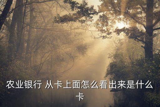 怎么看農(nóng)行的卡的類型，怎么知道自己的農(nóng)行卡是不是1類