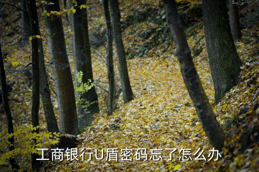 忘記工商銀行u盾密碼怎么辦，工商銀行U盾密碼忘記了怎么辦