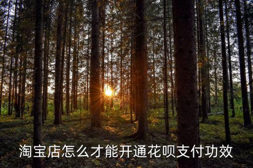 花唄怎么能添加到淘寶店鋪，淘寶店怎么才能開通花唄支付功效