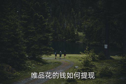 唯品花的錢如何提現(xiàn)