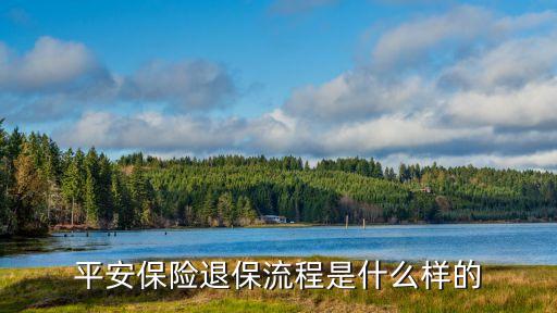 平安保險要退保怎么退，平安保險退保的正確辦法是什么