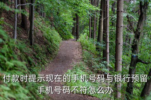 付款時提示現(xiàn)在的手機號碼與銀行預留手機號碼不符怎么辦