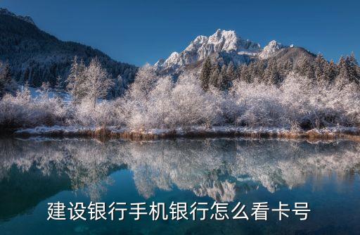 建設(shè)銀行手機銀行怎么看卡號