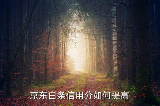 怎么快速提高白條信用，京東白條怎么提升信用