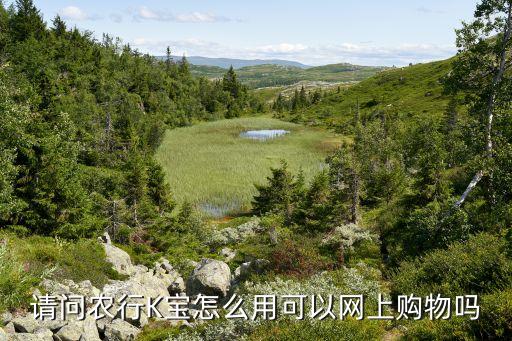 怎么用k寶在手機上買東西，請問農行K寶怎么用可以網(wǎng)上購物嗎