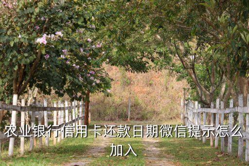 農(nóng)行怎么開通微信提醒功能，農(nóng)業(yè)銀行信用卡還款日期微信提示怎么加入