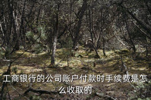 工商銀行的公司賬戶付款時手續(xù)費是怎么收取的