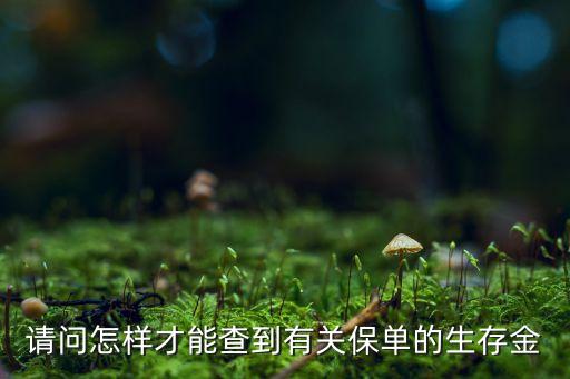 保險生存金怎么查詢，請問怎樣才能查到有關(guān)保單的生存金
