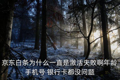 激活白條怎么老是失敗，京東白條激活提示失敗是什么原因