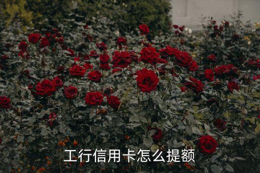 工行信用卡怎么提額