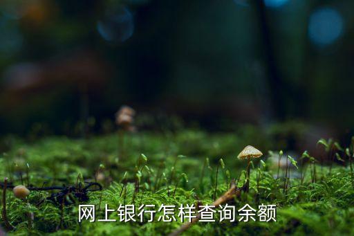 怎么查網(wǎng)上銀行余額，網(wǎng)上銀行怎樣查詢(xún)余額