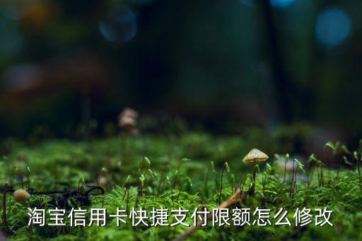淘寶信用卡快捷支付限額怎么修改