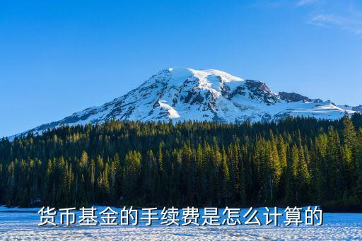 貨幣基金手續(xù)費(fèi)怎么算，貨幣基金的手續(xù)費(fèi)會(huì)怎么收