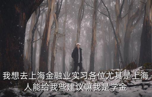 我想去上海金融業(yè)實(shí)習(xí)各位尤其是上海人能給我些建議嘛我是學(xué)金