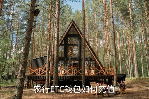 農(nóng)行etc速通卡怎么充值，農(nóng)行ETC錢包如何充值