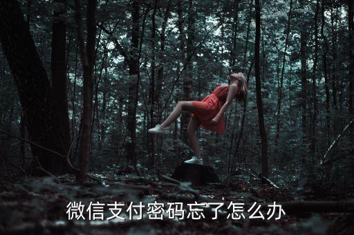 微信支付密碼忘了怎么辦