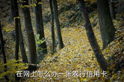 中國農(nóng)行信用卡網(wǎng)上怎么申請，在網(wǎng)上怎么辦一張農(nóng)行信用卡