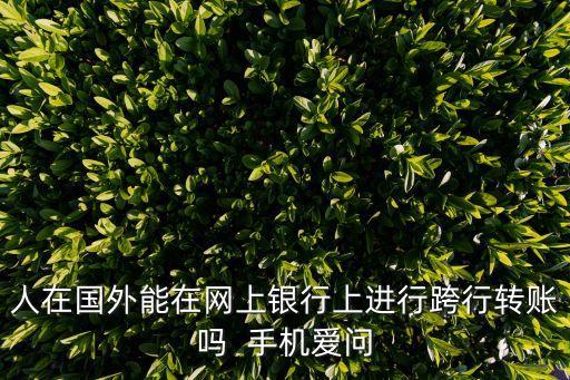 人在國外能在網(wǎng)上銀行上進行跨行轉(zhuǎn)賬嗎  手機愛問
