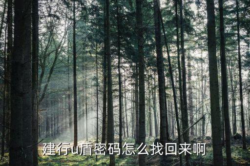 建行u盾密碼怎么找回來啊