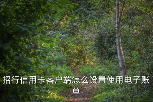 招行信用卡客戶端怎么設(shè)置使用電子賬單