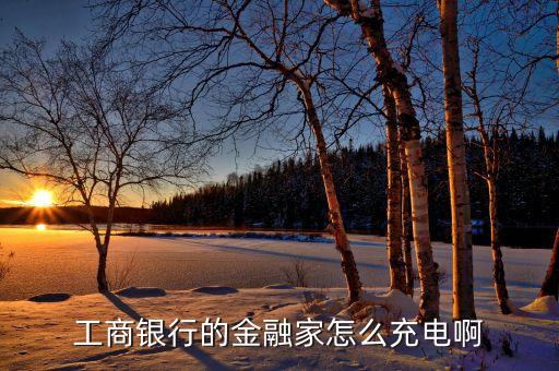 工商出國金融 家怎么用，金融a家怎么用插主機(jī)上電腦也下載工商網(wǎng)銀助手我點不來  搜