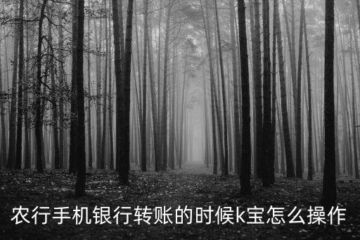 怎么k寶銀行轉(zhuǎn)賬，請問用k寶怎么轉(zhuǎn)賬