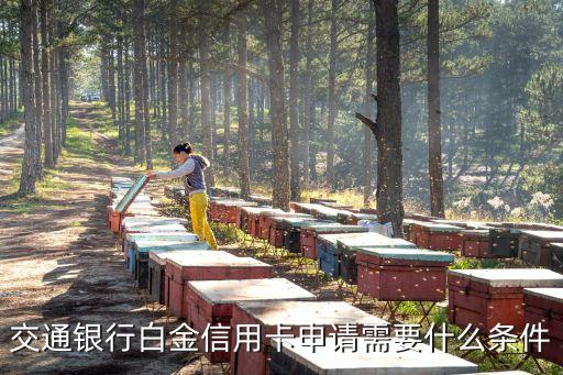 交行白金卡app怎么申請條件，交通銀行的白金信用卡申請條件